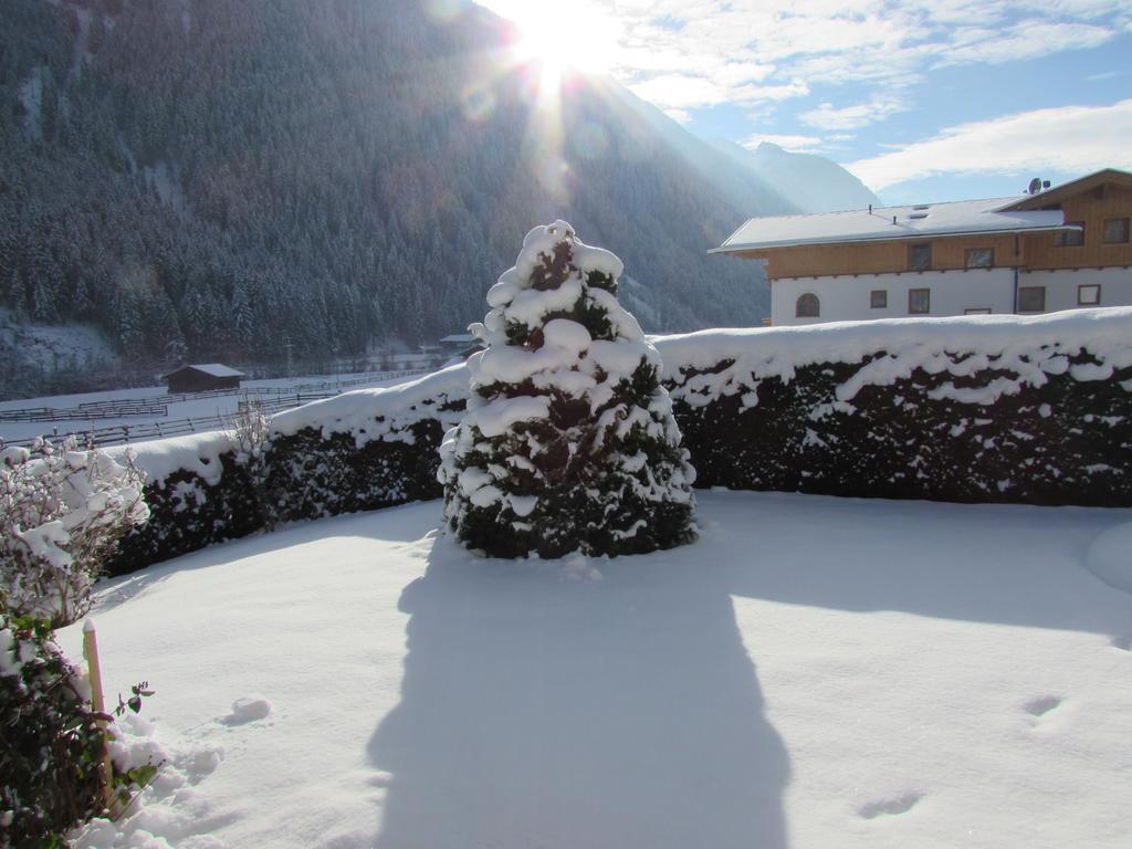 Apartamento Haus Egger Neustift im Stubaital Exterior foto
